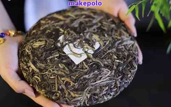 普洱茶餅定制與選購指南 從種植到茶餅的專業(yè)推薦