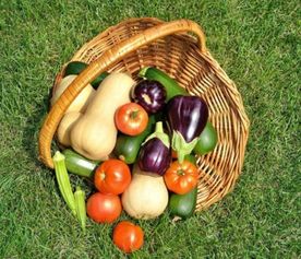 食品安全大于天，源頭把關(guān)是關(guān)鍵——陜西省市場(chǎng)監(jiān)管局召開(kāi)食用農(nóng)產(chǎn)品批發(fā)環(huán)節(jié)質(zhì)量安全座談會(huì)